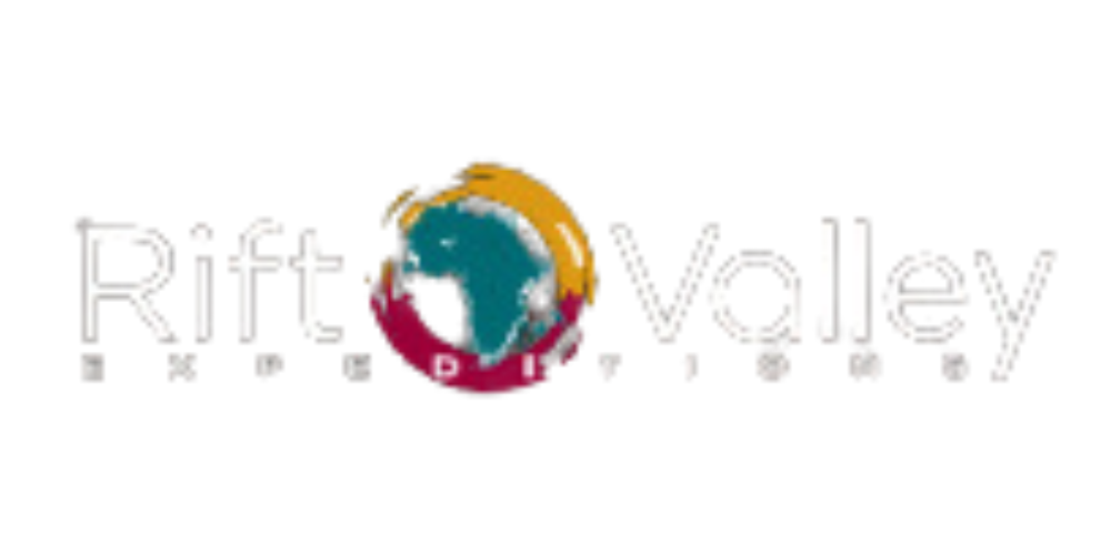 BILLETES DE AUTOBÚS INTERNACIONALES EN LÍNEA